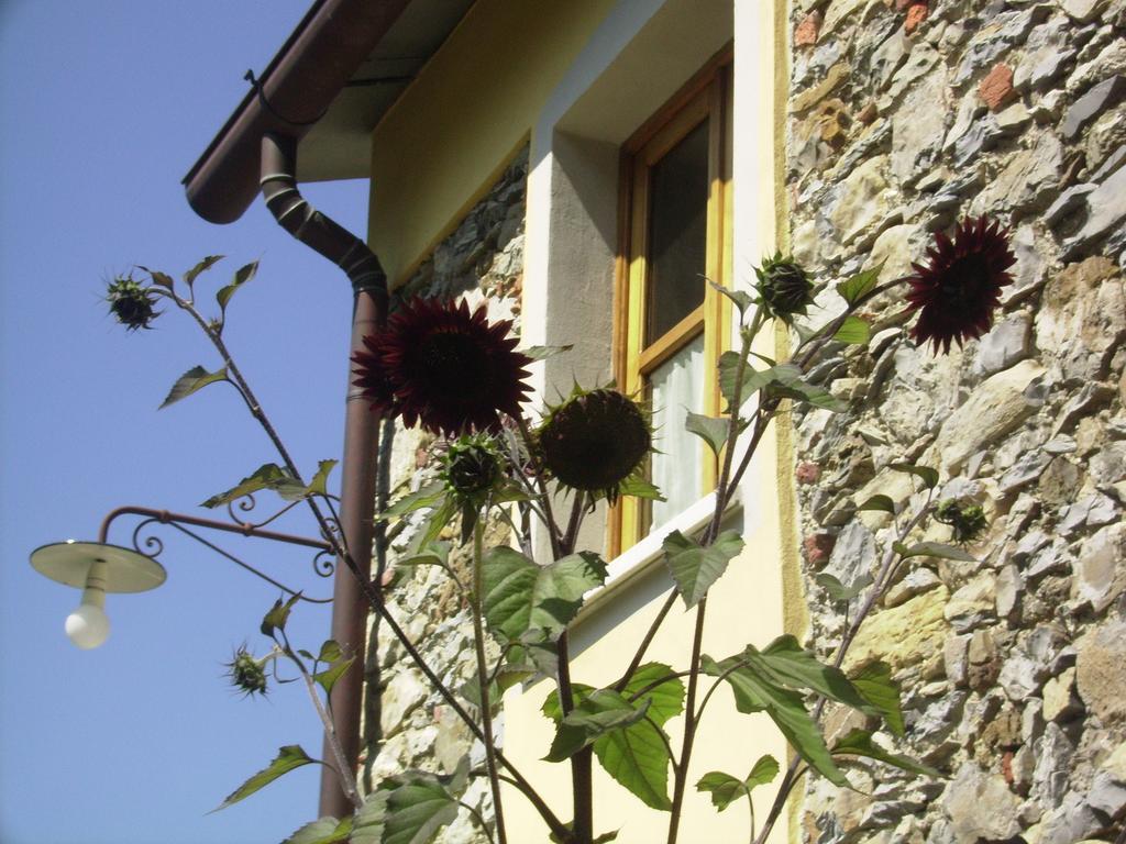 Bed and Breakfast Il Girasole Fosdinovo Zewnętrze zdjęcie